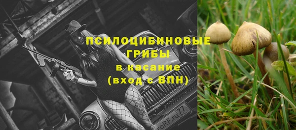 mix Вяземский